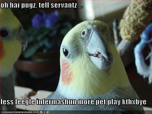 A Bird Message for the Pugs
