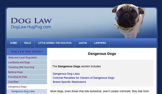 Dog Law with Little Sheba the Hug Pug